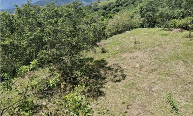 Venta De Lote En San Jeronimo