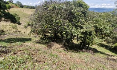 Venta De Lote En San Jeronimo