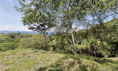 Venta De Lote En San Jeronimo