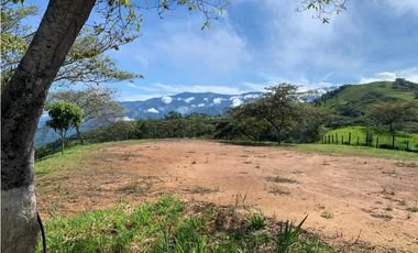 Venta De Lote En San Jeronimo
