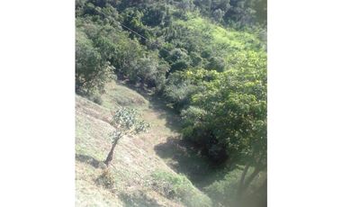 Venta De Lote En San Jeronimo