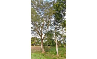 Venta De Lote En Parcelación Sopetran