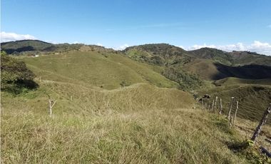VENTA DE LOTE EN CISNEROS ANTIOQUIA
