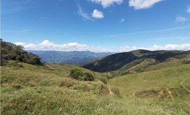 VENTA DE LOTE EN CISNEROS ANTIOQUIA