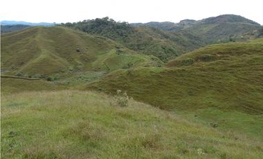 VENTA DE LOTE EN CISNEROS ANTIOQUIA