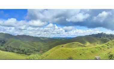 VENTA DE LOTE EN CISNEROS ANTIOQUIA