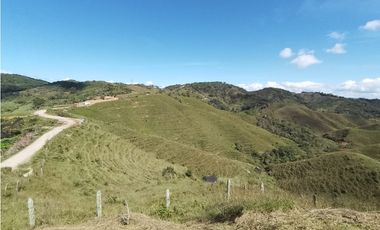 VENTA DE LOTE EN CISNEROS ANTIOQUIA