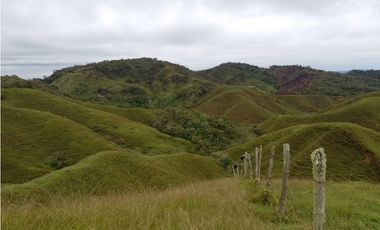 VENTA DE LOTE EN CISNEROS ANTIOQUIA