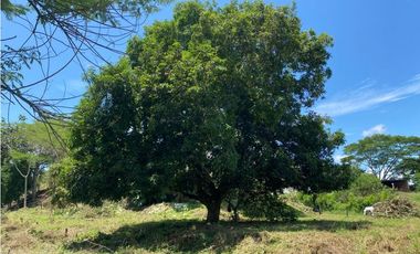 VENTA DE LOTE INDEPENDIENTE EN SOPETRAN