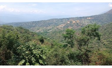 VENTA DE FINCA EN PARCELACION SAN JERONIMO