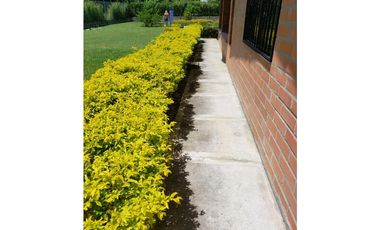 Venta De Finca En Sopetran