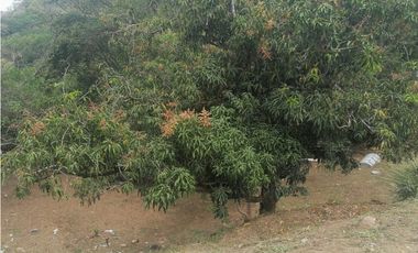 VENTA DE FINCA EN SOPETRAN