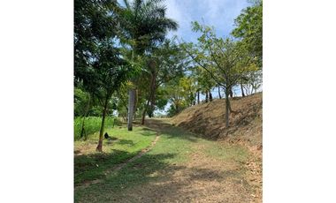 VENTA DE LOTE EN INDEPENDIENTE SOPETRAN