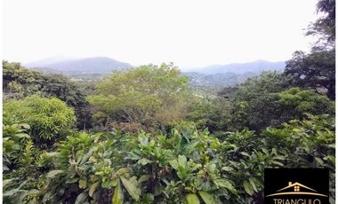 Venta De Finca En Sopetran