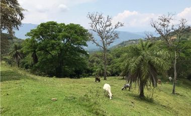 VENTA DE LOTE EN SAN JERONIMO