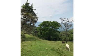 VENTA DE LOTE EN SAN JERONIMO