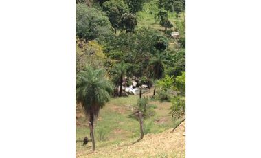 VENTA DE LOTE EN SAN JERONIMO