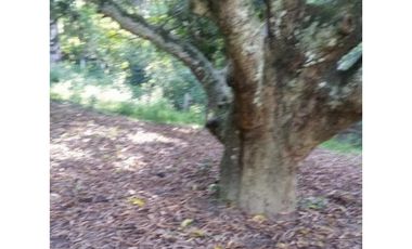 Venta Lote Independiente Sopetran