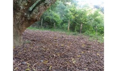 Venta Lote Independiente Sopetran