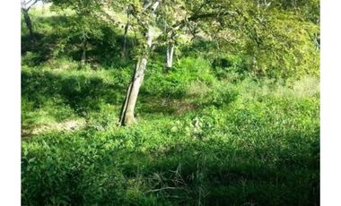 Venta Lote Independiente Sopetran