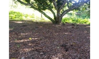 Venta Lote Independiente Sopetran