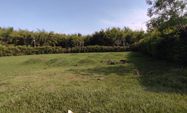 Lote en venta en Condominio Campestre Verde Horizonte, Jamundí