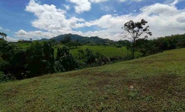 LOTE EN VENTA EN SECTOR COMBIA/PEREIRA