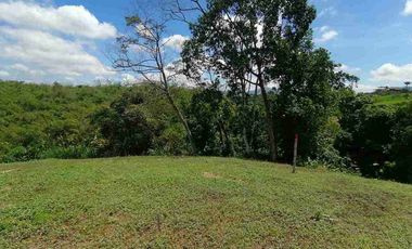 LOTE EN VENTA EN SECTOR COMBIA/PEREIRA