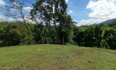 LOTE EN VENTA EN SECTOR COMBIA/PEREIRA
