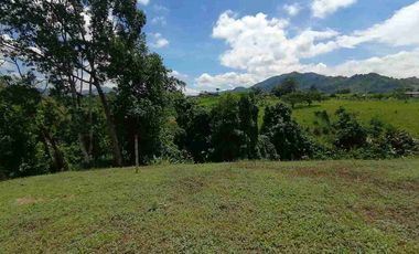 LOTE EN VENTA EN SECTOR COMBIA/PEREIRA