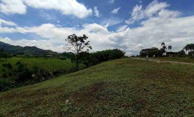 LOTE EN VENTA EN SECTOR COMBIA/PEREIRA