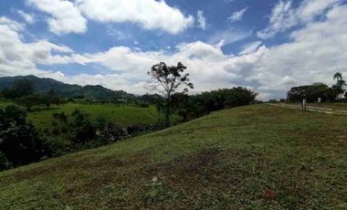 LOTE EN VENTA EN SECTOR COMBIA/PEREIRA