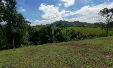 LOTE EN VENTA EN SECTOR COMBIA/PEREIRA