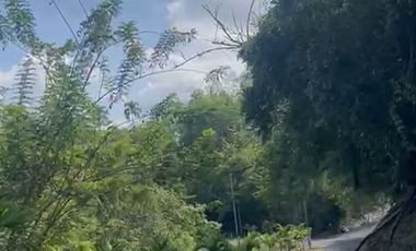 LOTE EN VENTA EN LA ESTRELLA VIA ALCALA/RISARALDA