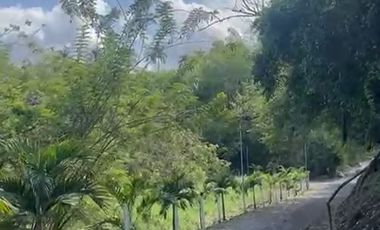 LOTE EN VENTA EN LA ESTRELLA VIA ALCALA/RISARALDA