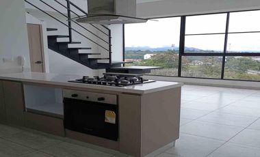 APARTAMENTO EN VENTA EN ZONA NORTE/ZONA AV CENTENARIO / ARMENIA