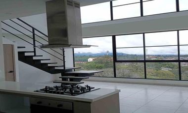 APARTAMENTO EN VENTA EN ZONA NORTE/ZONA AV CENTENARIO / ARMENIA