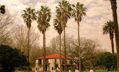 Campo - San Miguel del Monte