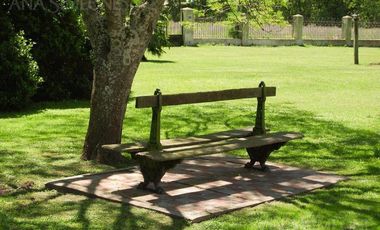 Campo - San Miguel del Monte