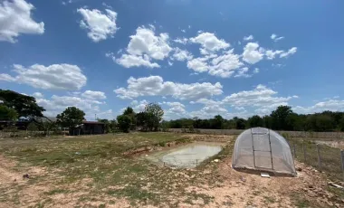 Land for sale in Huai Sai Nuea, Phetchaburi
