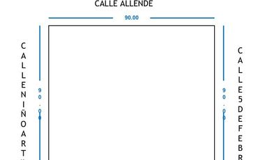 TERRENO COMERCIAL  EN RENTA ALLENDE NL