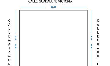 TERRENO COMERCIAL  EN RENTA ALLENDE NL
