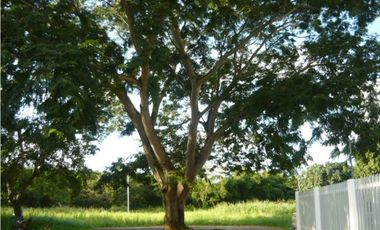 Venta Apartamento El Recreo Montería Córdoba