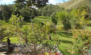 Venta de finca en vereda Altos del Mercado, Marinilla