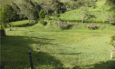Venta de finca en vereda Altos del Mercado, Marinilla