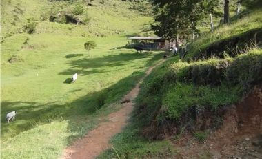 Venta de finca en vereda Altos del Mercado, Marinilla