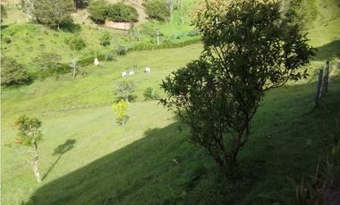 Venta de finca en vereda Altos del Mercado, Marinilla