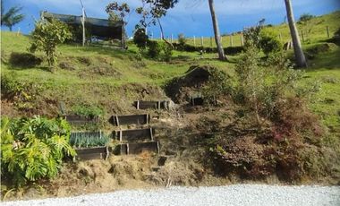 Venta de finca en vereda Altos del Mercado, Marinilla