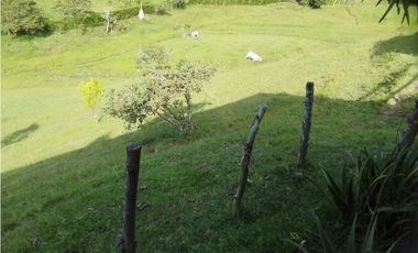 Venta de finca en vereda Altos del Mercado, Marinilla