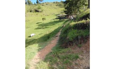 Venta de finca en vereda Altos del Mercado, Marinilla